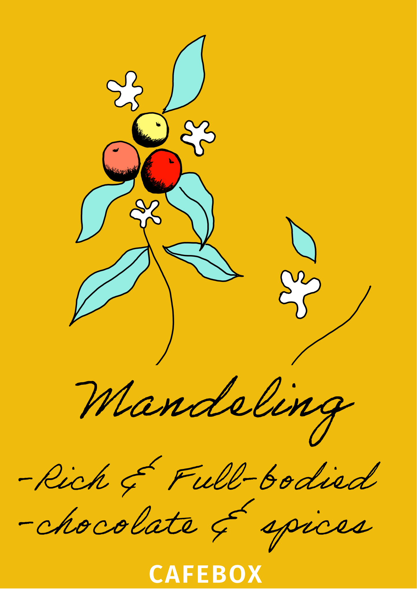 mandolin